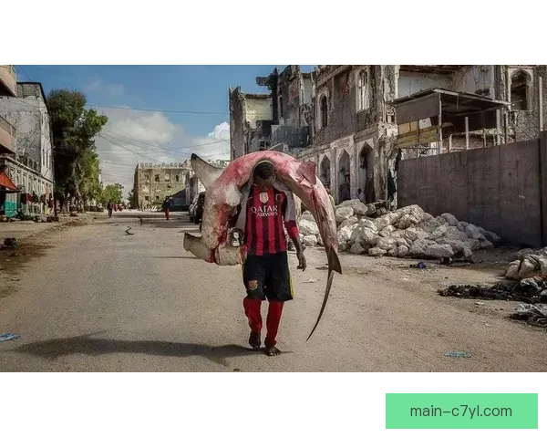 巴萨鲨出没成水母皇社赛后纠正 巴萨鲨出没成水母皇社赛后纠正