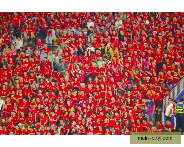 少数人犯错却惩罚万千球迷热情